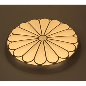 CX22 ceiling Light