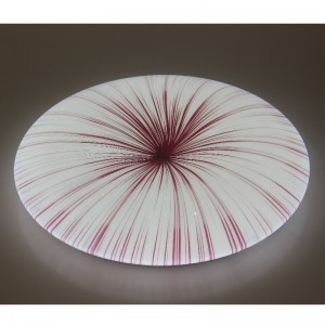 CX250 ceiling Light